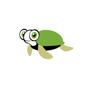 Hier ist eine grüne Schildkröte zu sehen, deren große Augen fragend ins Bild schauen.